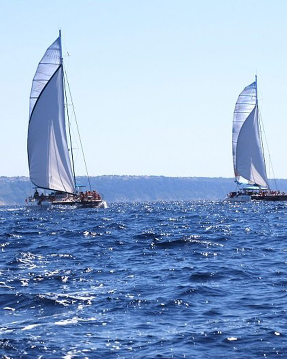 katamaran-tour-mallorca-abi-splash